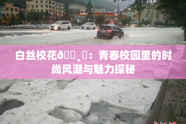 白丝校花🌸‌：青春校园里的时尚风潮与魅力探秘
