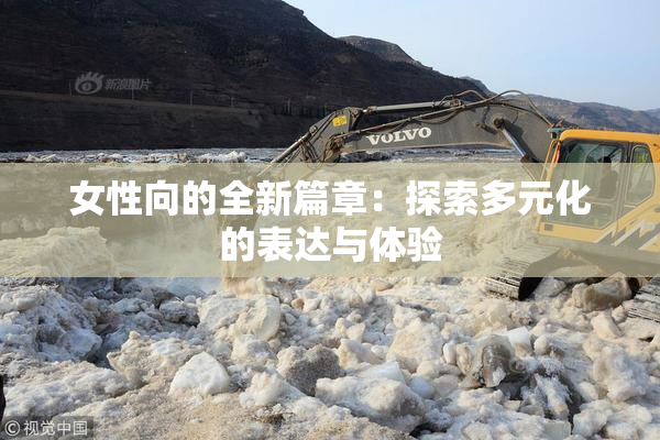 女性向的全新篇章：探索多元化的表达与体验
