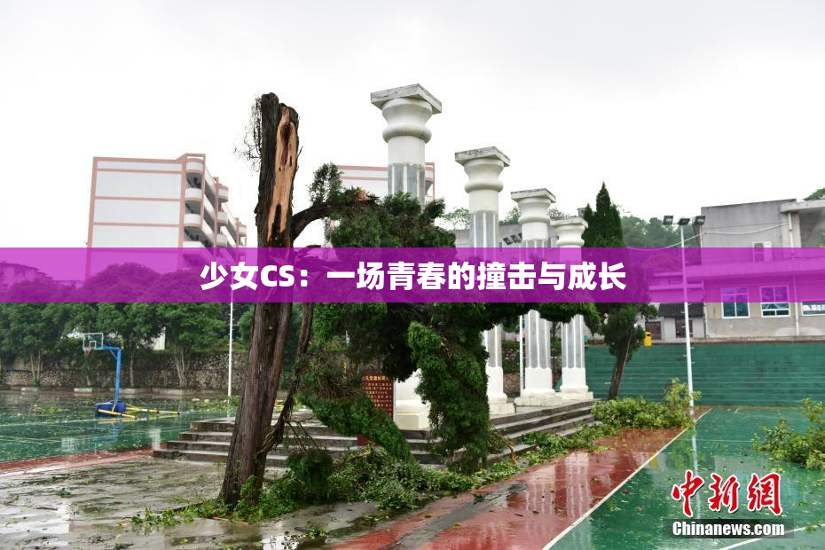 少女CS：一场青春的撞击与成长
