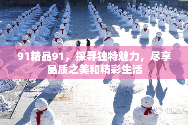 91精品91，探寻独特魅力，尽享品质之美和精彩生活