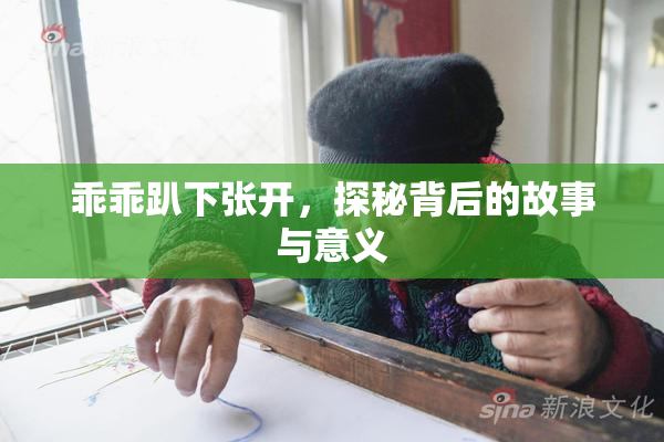 乖乖趴下张开，探秘背后的故事与意义