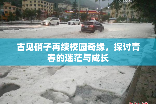 古见硝子再续校园奇缘，探讨青春的迷茫与成长
