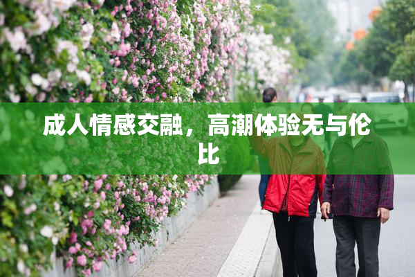成人情感交融，高潮体验无与伦比