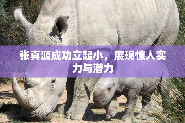 张真源成功立起小，展现惊人实力与潜力