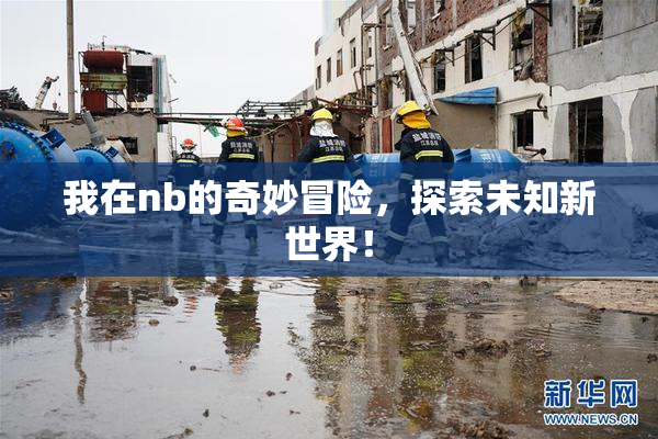 我在nb的奇妙冒险，探索未知新世界！