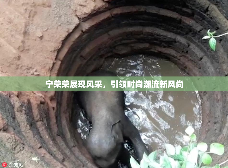 宁荣荣展现风采，引领时尚潮流新风尚