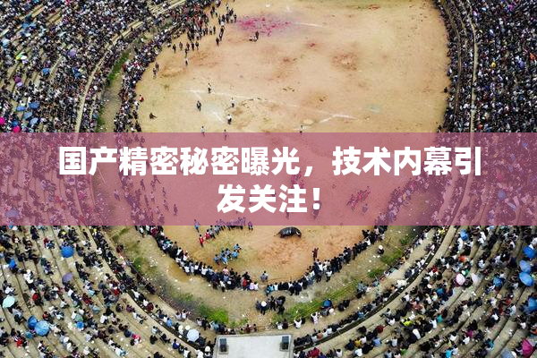 国产精密秘密曝光，技术内幕引发关注！
