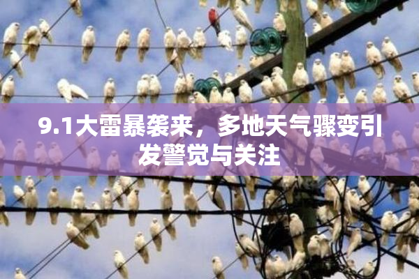 9.1大雷暴袭来，多地天气骤变引发警觉与关注