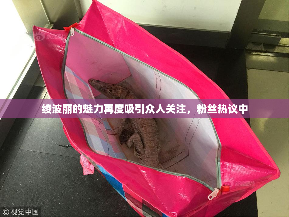 绫波丽的魅力再度吸引众人关注，粉丝热议中