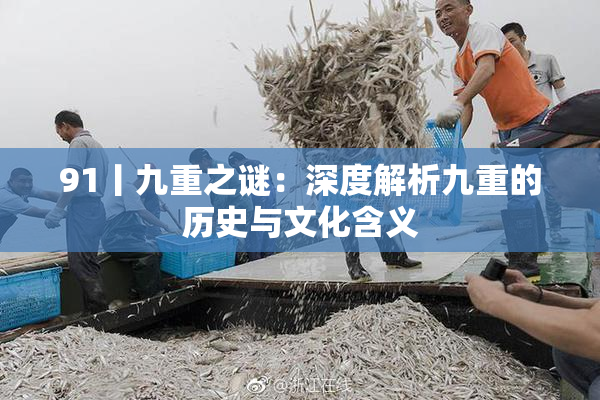 91丨九重之谜：深度解析九重的历史与文化含义