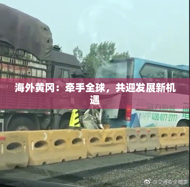 海外黄冈：牵手全球，共迎发展新机遇