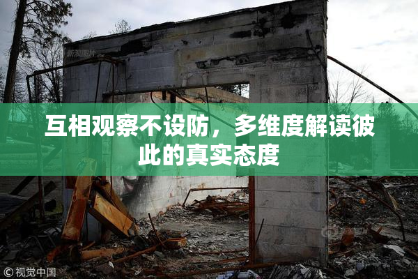 互相观察不设防，多维度解读彼此的真实态度