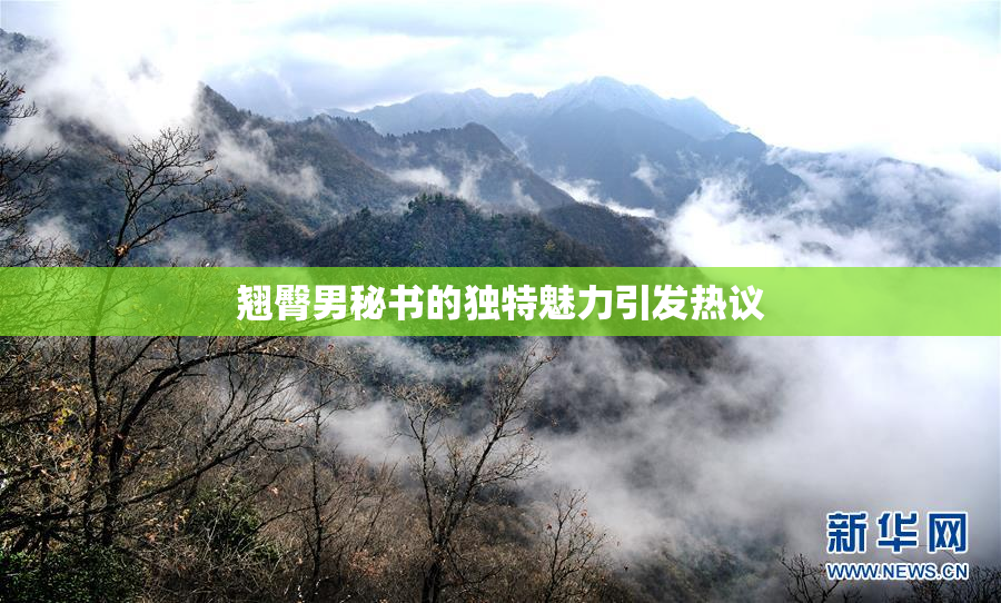 翘臀男秘书的独特魅力引发热议