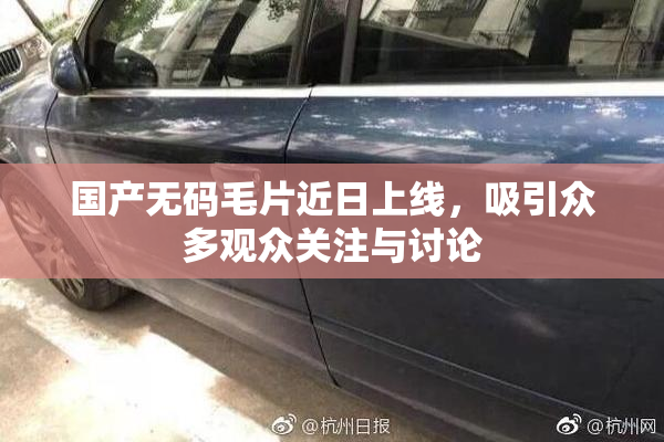 国产无码毛片近日上线，吸引众多观众关注与讨论