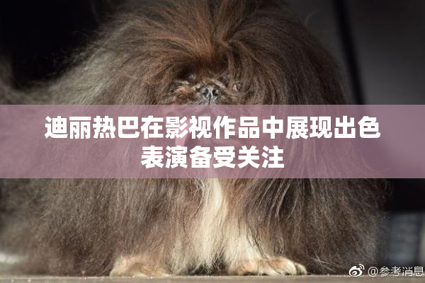 迪丽热巴在影视作品中展现出色表演备受关注