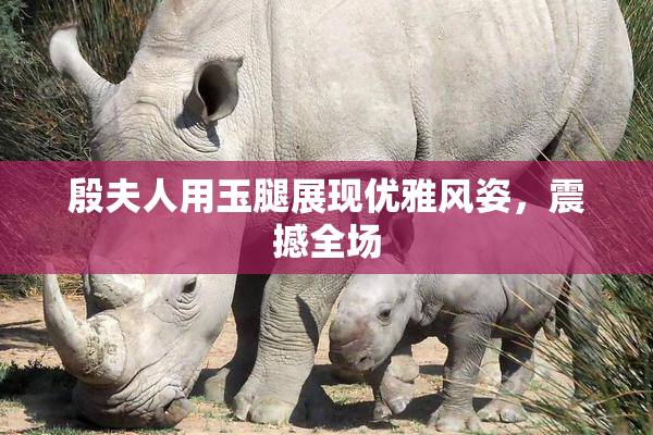 殷夫人用玉腿展现优雅风姿，震撼全场