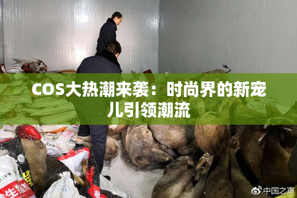 COS大热潮来袭：时尚界的新宠儿引领潮流