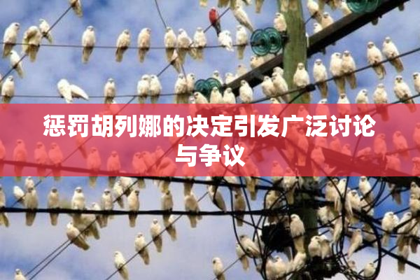 惩罚胡列娜的决定引发广泛讨论与争议