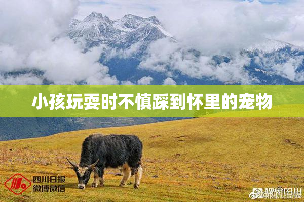 小孩玩耍时不慎踩到怀里的宠物