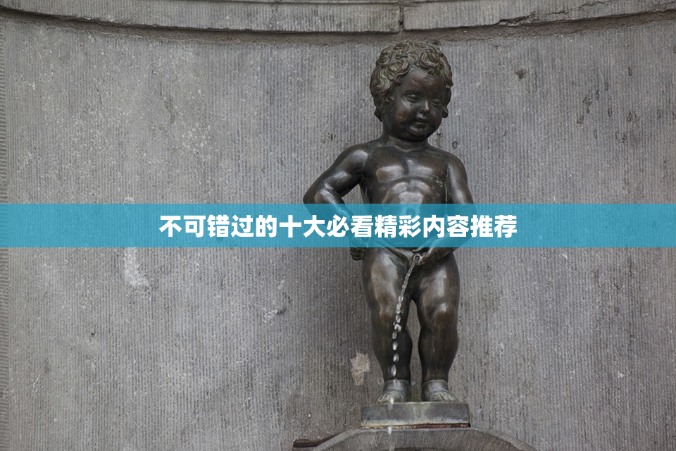 不可错过的十大必看精彩内容推荐