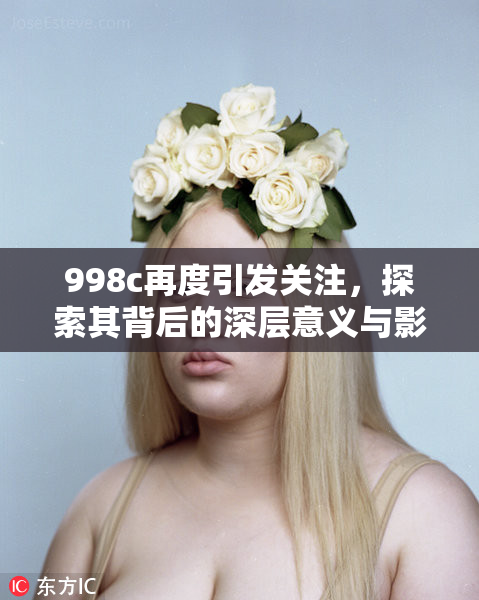 998c再度引发关注，探索其背后的深层意义与影响