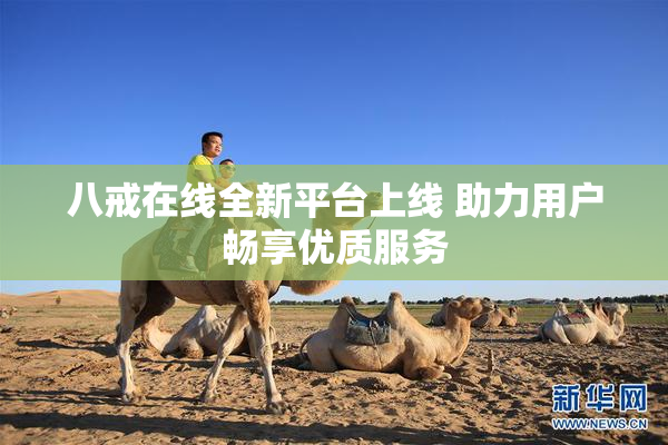 八戒在线全新平台上线 助力用户畅享优质服务