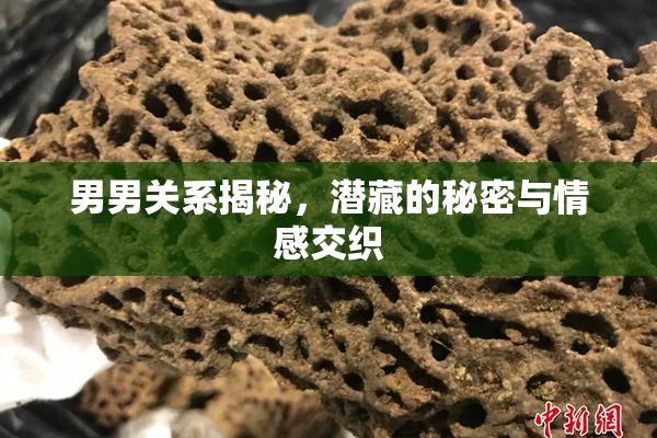 男男关系揭秘，潜藏的秘密与情感交织