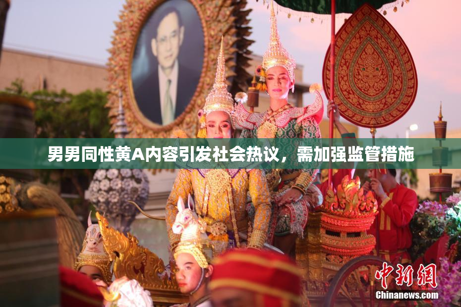 男男同性黄A内容引发社会热议，需加强监管措施