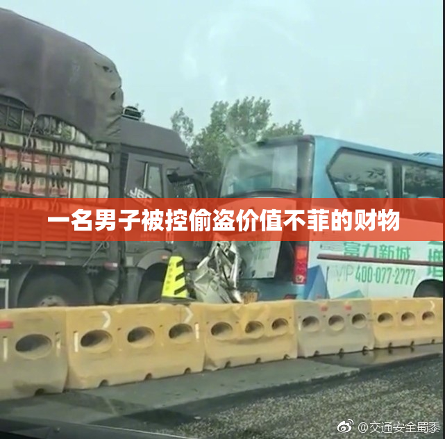 一名男子被控偷盗价值不菲的财物