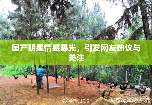 国产明星情感曝光，引发网友热议与关注