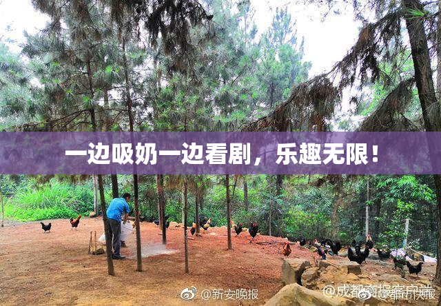 一边吸奶一边看剧，乐趣无限！