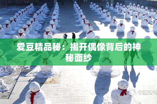 爱豆精品秘：揭开偶像背后的神秘面纱
