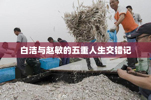 白洁与赵敏的五重人生交错记