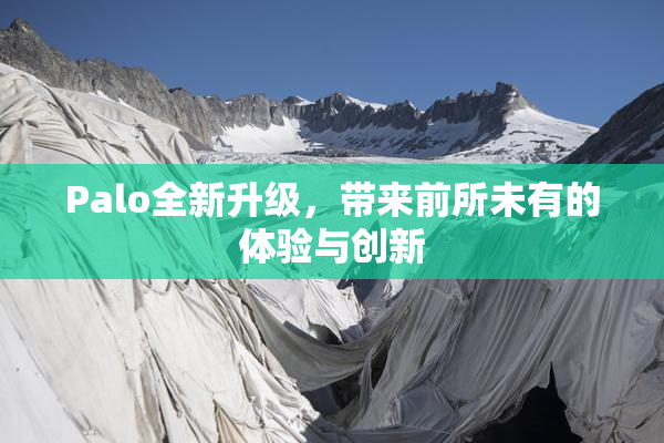 Palo全新升级，带来前所未有的体验与创新