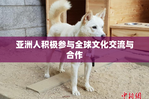 亚洲人积极参与全球文化交流与合作
