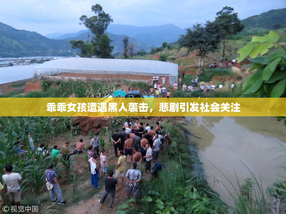 乖乖女孩遭遇黑人袭击，悲剧引发社会关注
