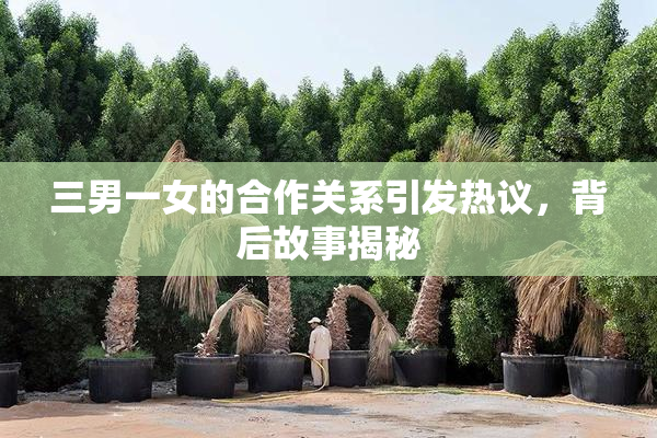 三男一女的合作关系引发热议，背后故事揭秘