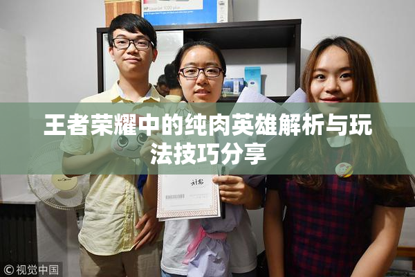 王者荣耀中的纯肉英雄解析与玩法技巧分享