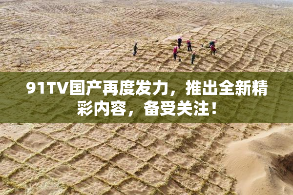 91TV国产再度发力，推出全新精彩内容，备受关注！