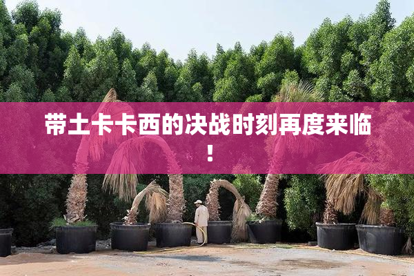 带土卡卡西的决战时刻再度来临！