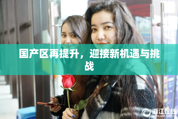 国产区再提升，迎接新机遇与挑战