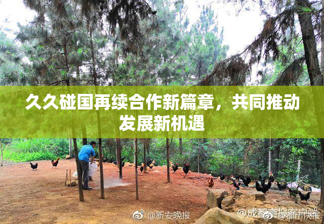 久久碰国再续合作新篇章，共同推动发展新机遇