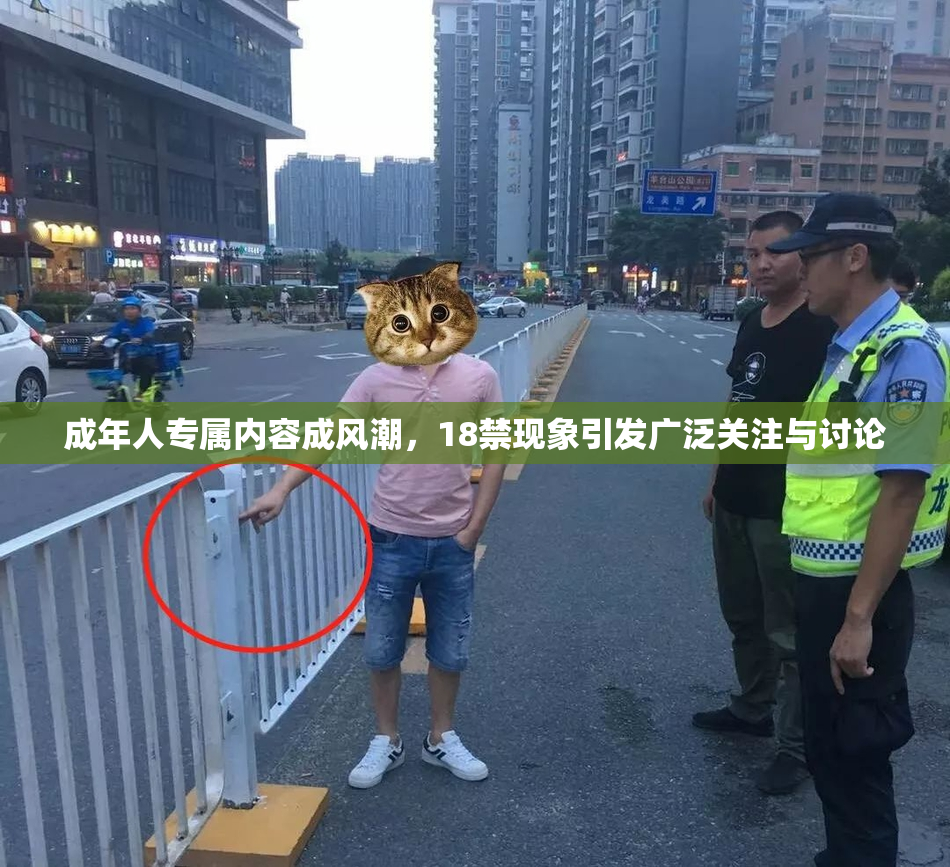 成年人专属内容成风潮，18禁现象引发广泛关注与讨论