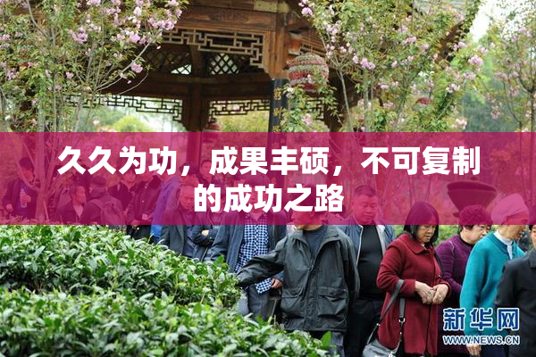 久久为功，成果丰硕，不可复制的成功之路