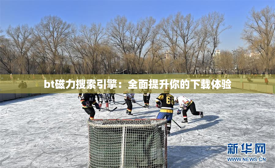 bt磁力搜索引擎：全面提升你的下载体验