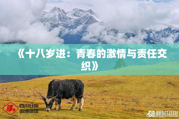 《十八岁进：青春的激情与责任交织》