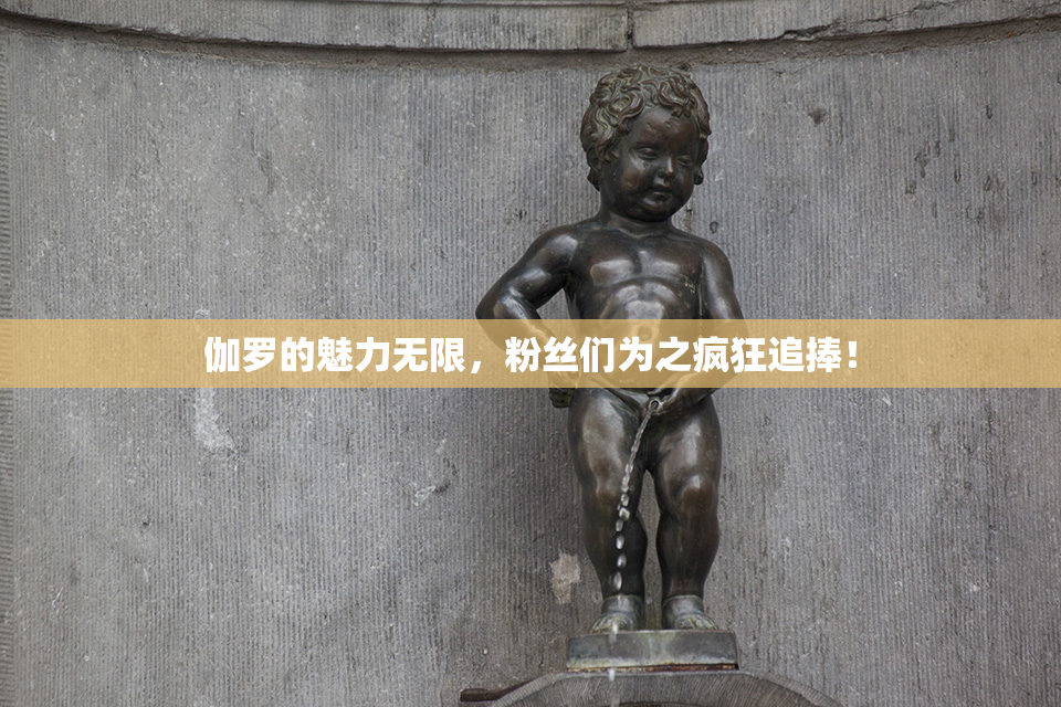 伽罗的魅力无限，粉丝们为之疯狂追捧！