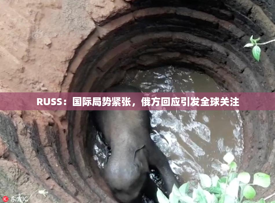 RUSS：国际局势紧张，俄方回应引发全球关注
