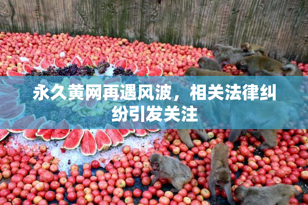 永久黄网再遇风波，相关法律纠纷引发关注