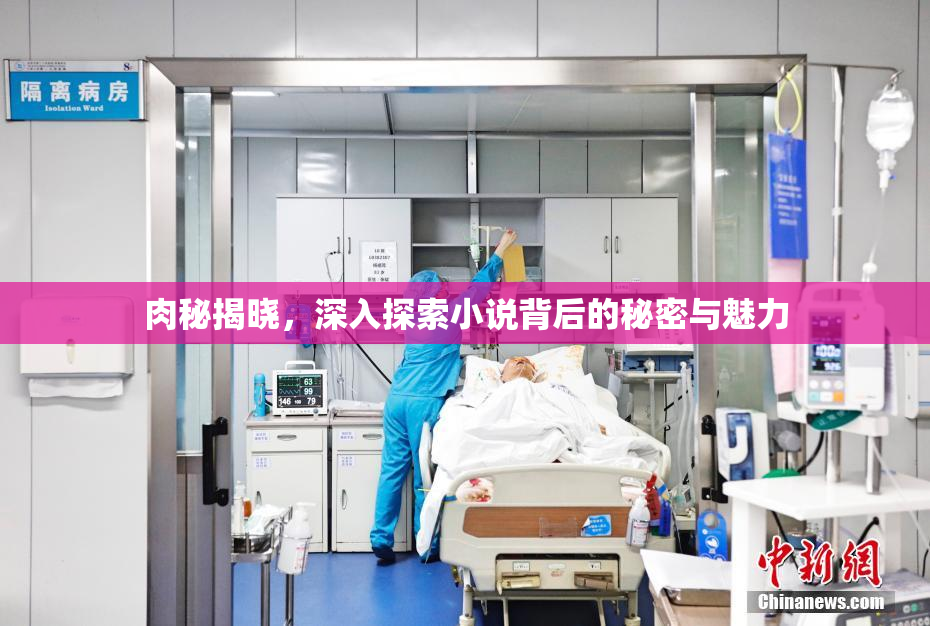 肉秘揭晓，深入探索小说背后的秘密与魅力